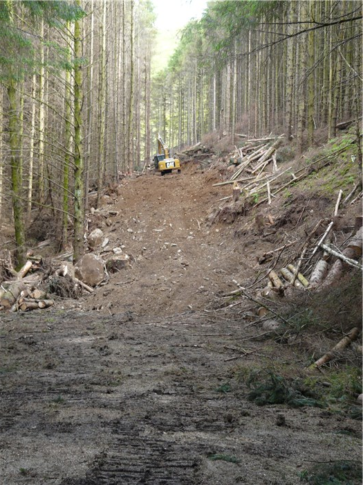 Work begins to clear the pipeline corridor through Coedydd Aber Forest 16 June 2015