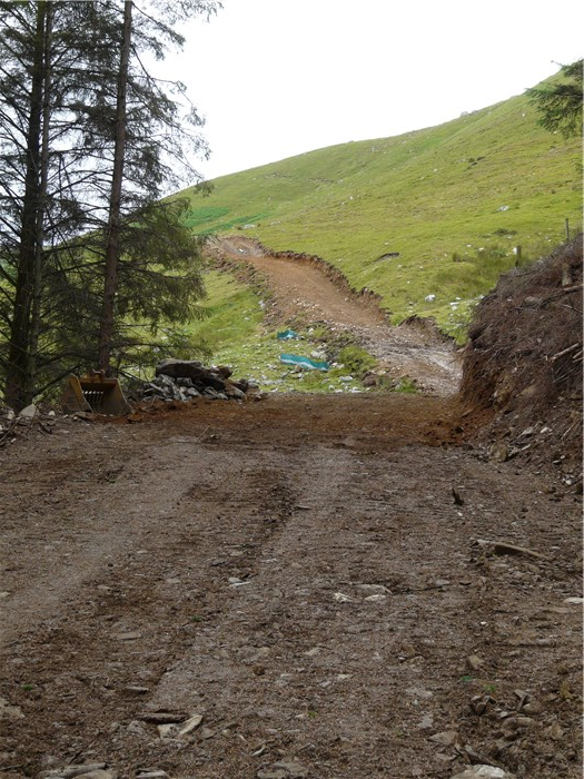The bench for the pipeline trench is cut through from the forest to the end of the pipe on the mountain 7 July 2015
