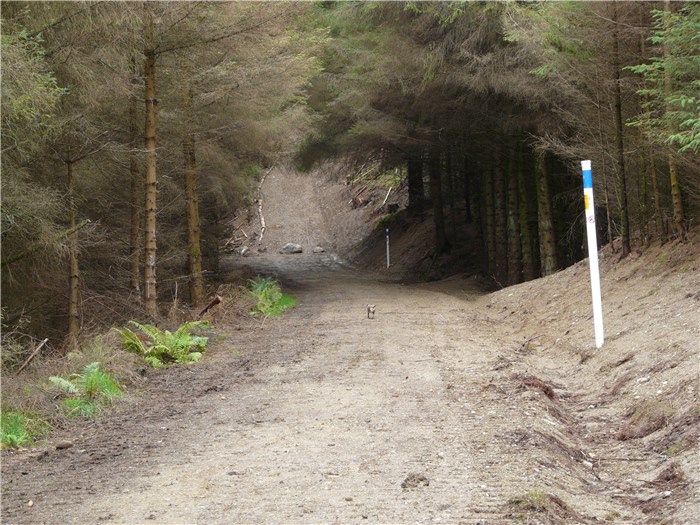 The installation of the pipeline in the bank of the forest track and reinstatement continues 2 August 2015
